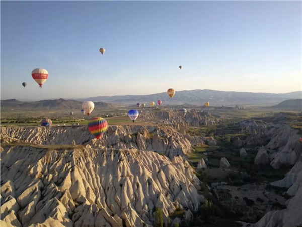 门徒娱乐-妄想照进现实,致力成就将来!
