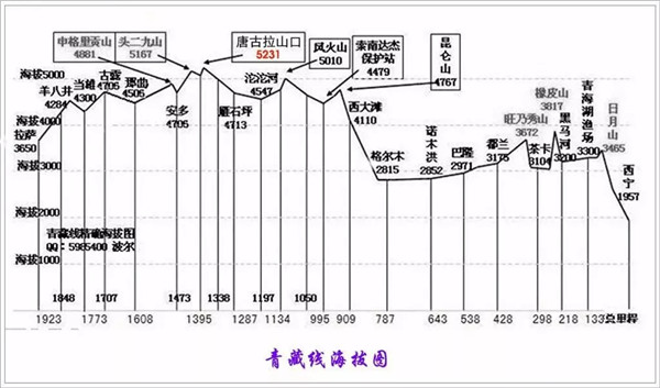 门徒娱乐-妄想照进现实,致力成就将来!